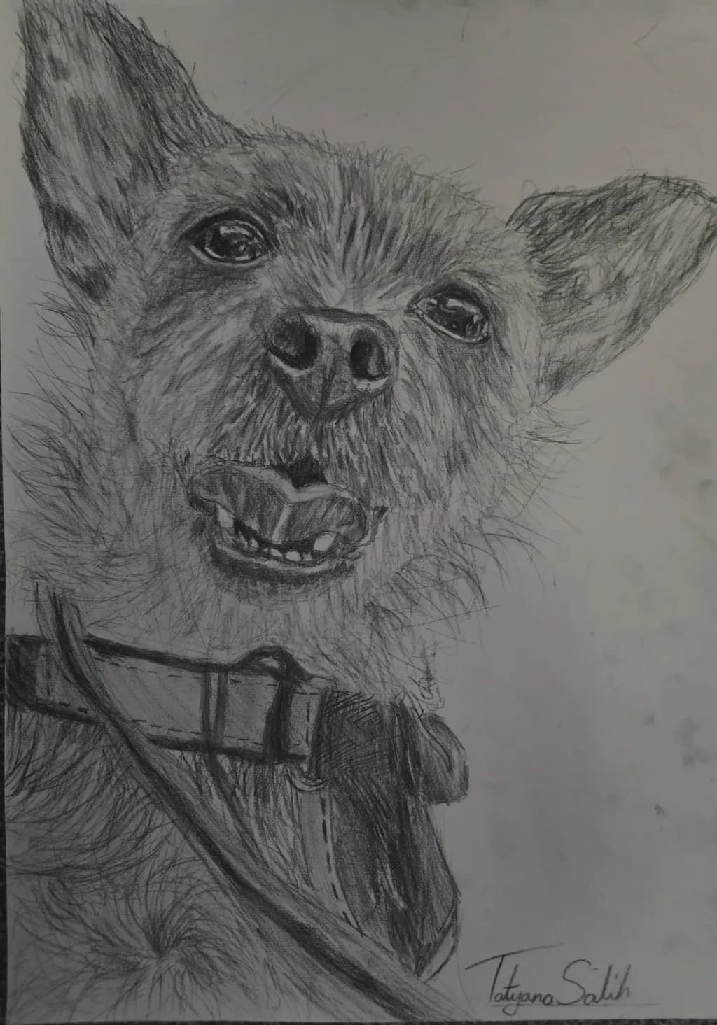 Dog Portrait