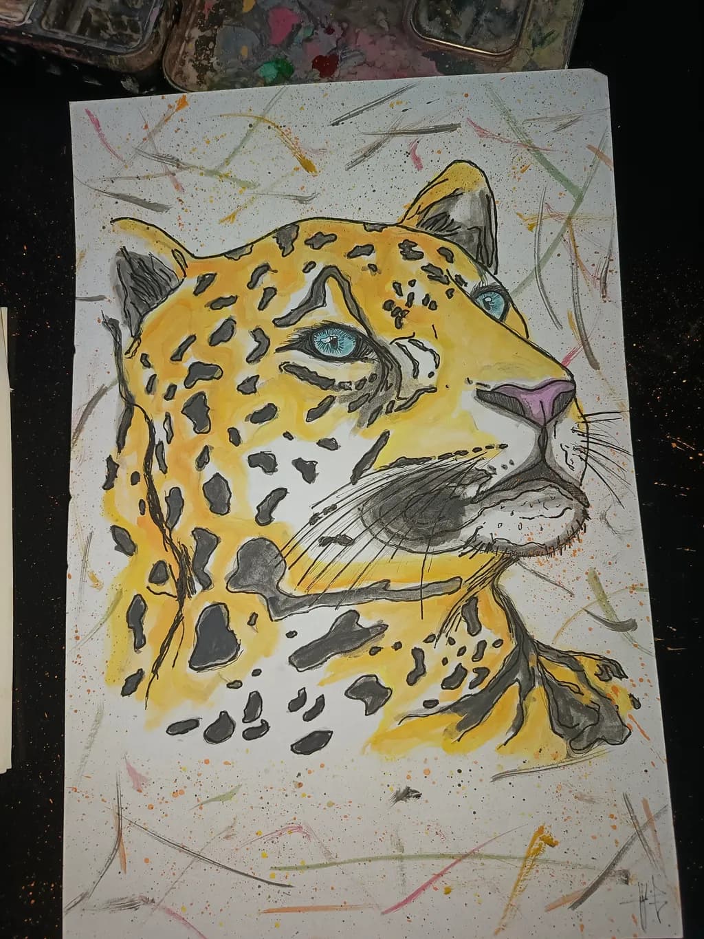 Leopard Gaze