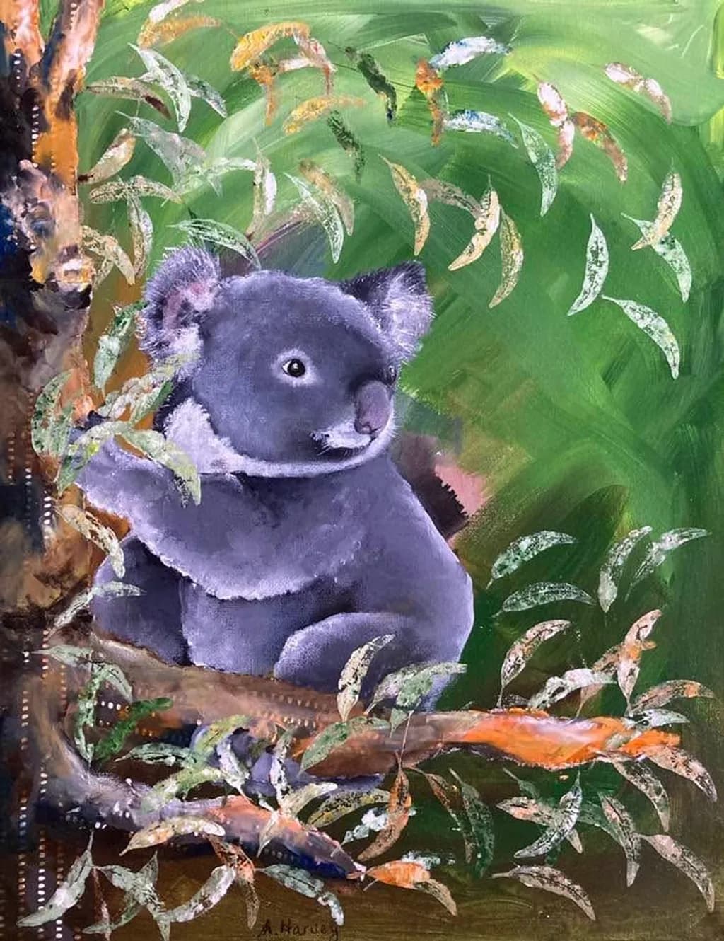 Koala in Eucalyptus
