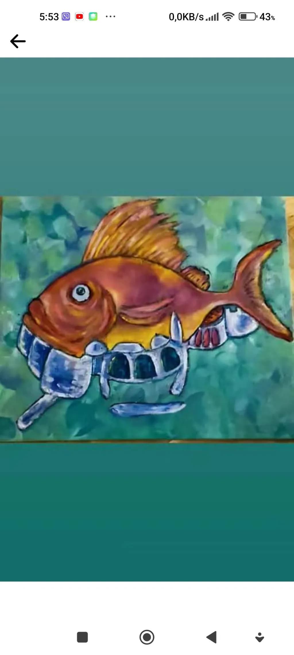 Fish Anatomy