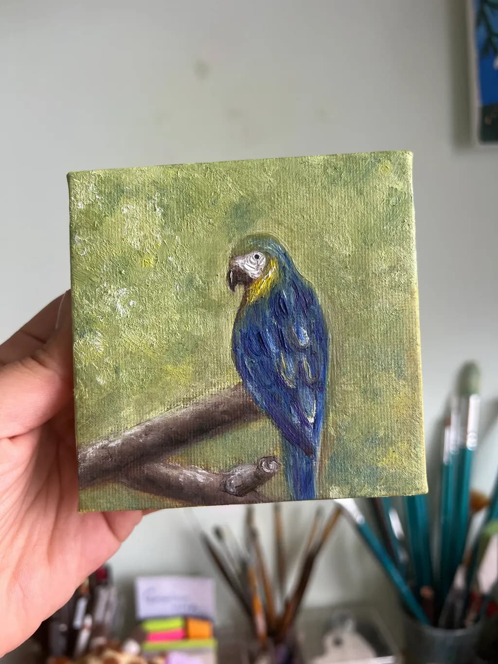 Blue Macaw Perch