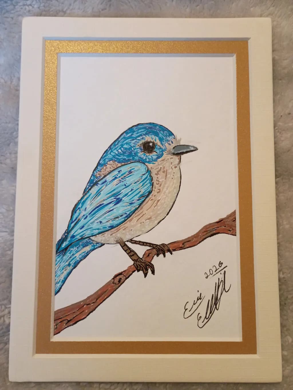 Blue Bird on Branch