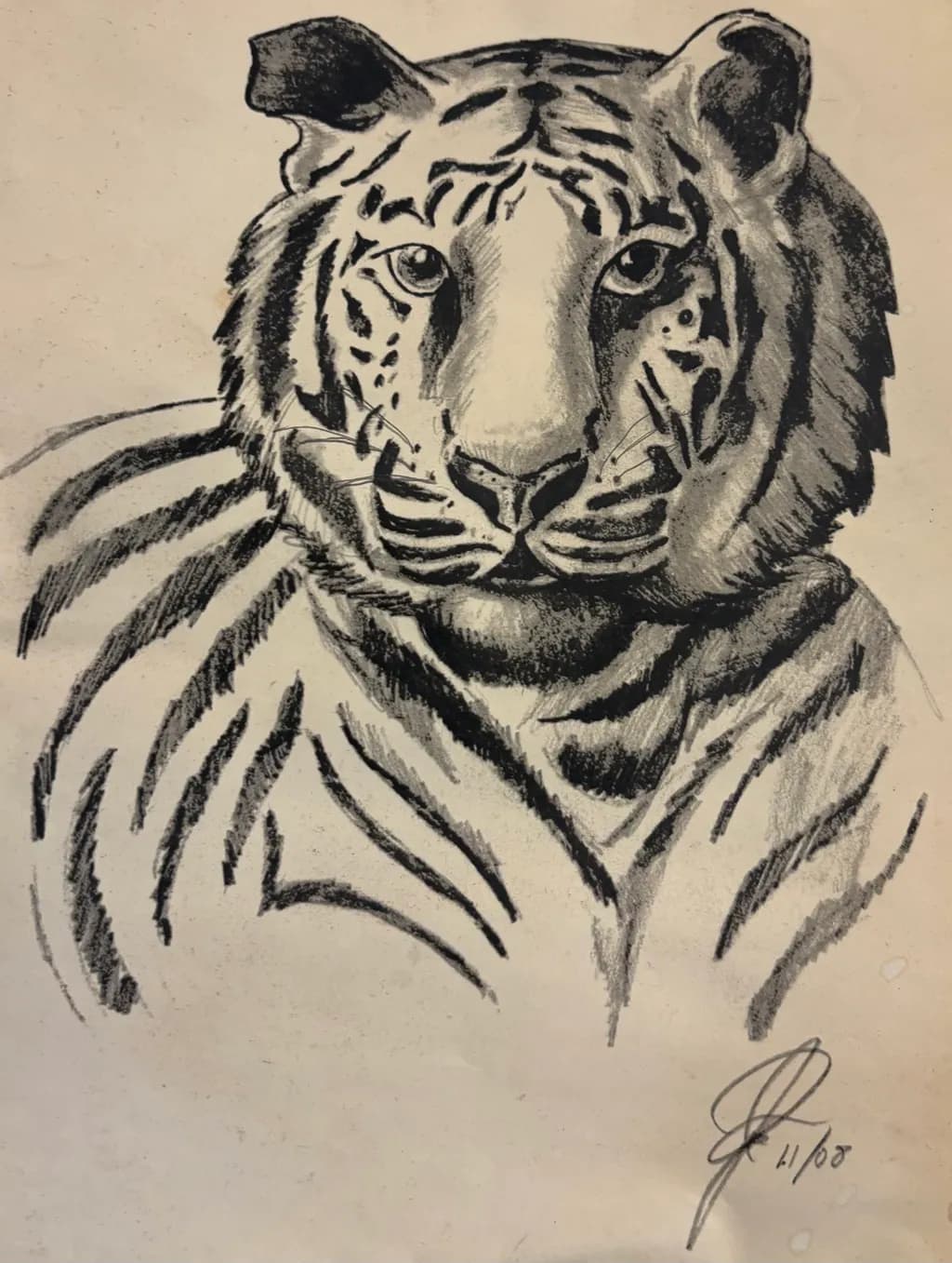 Tiger Portrait Sketch