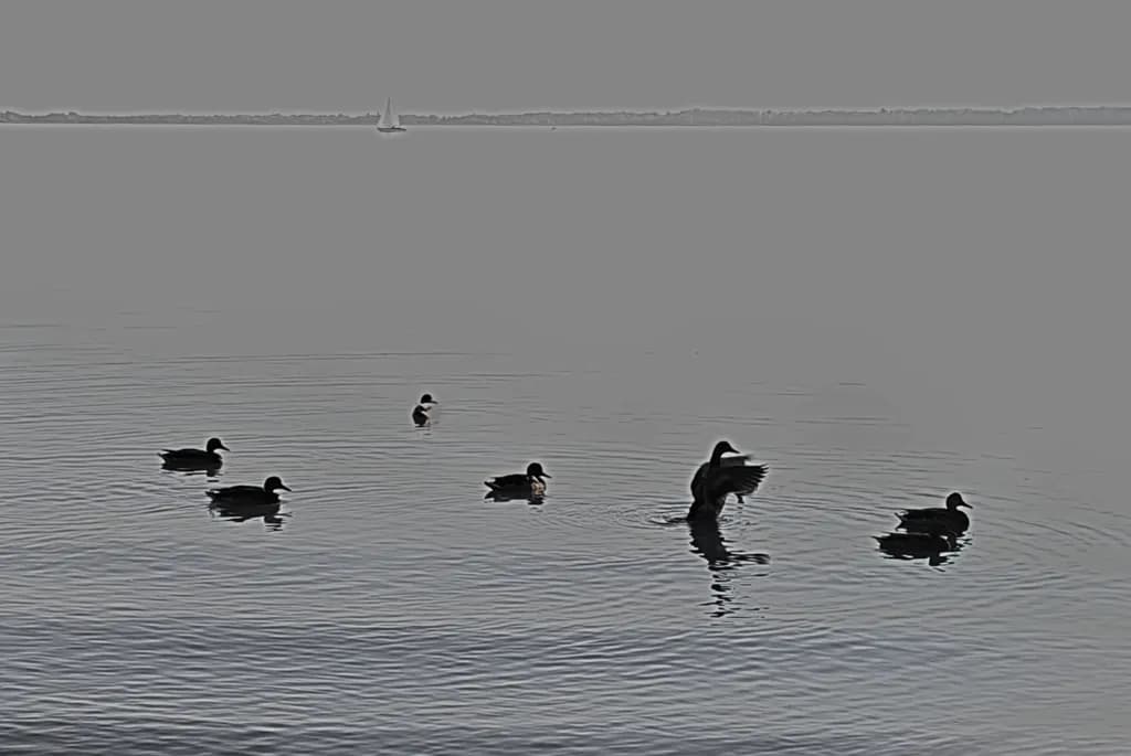 Post image 4