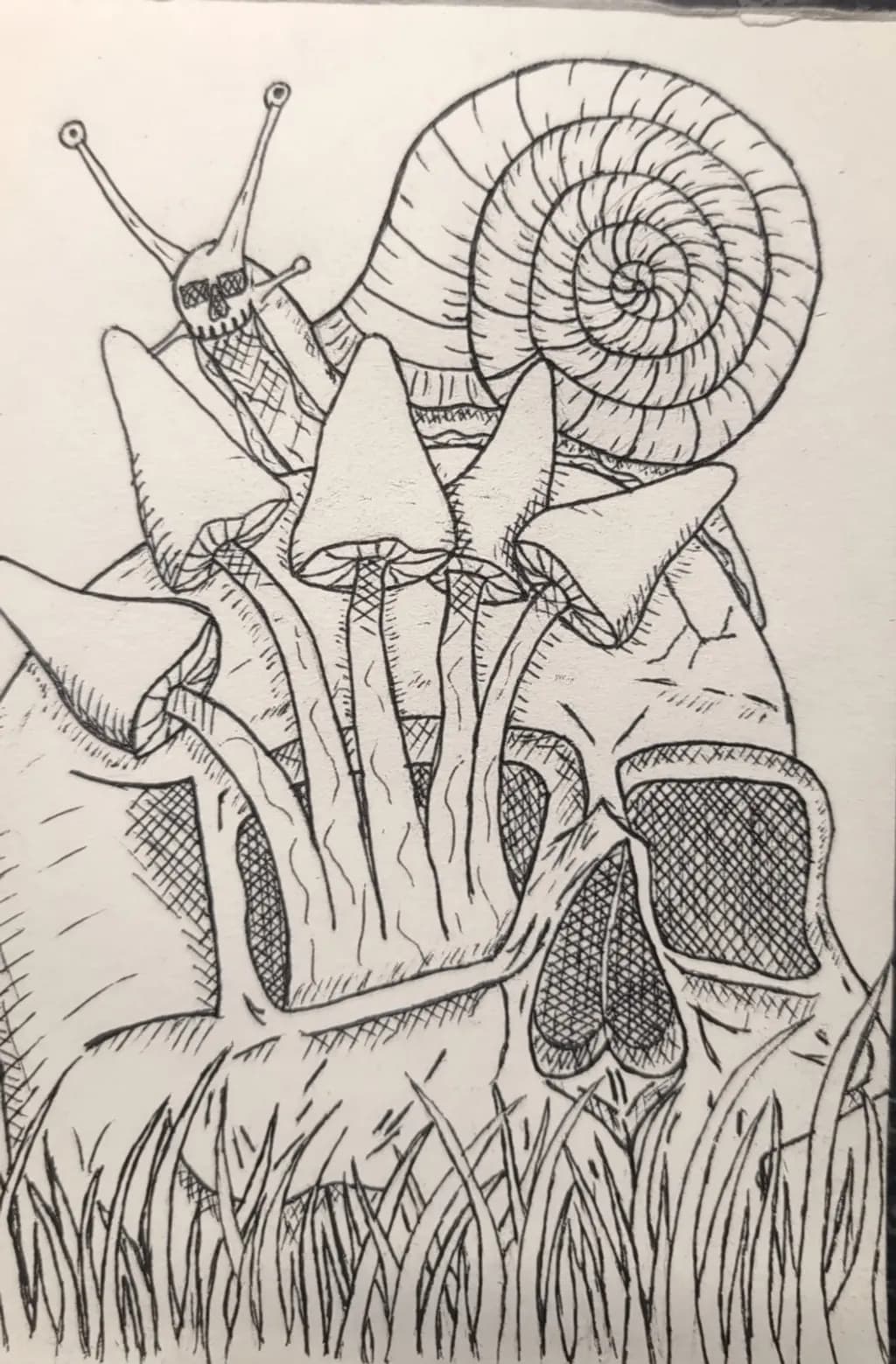 Skull with Mushrooms and Snail