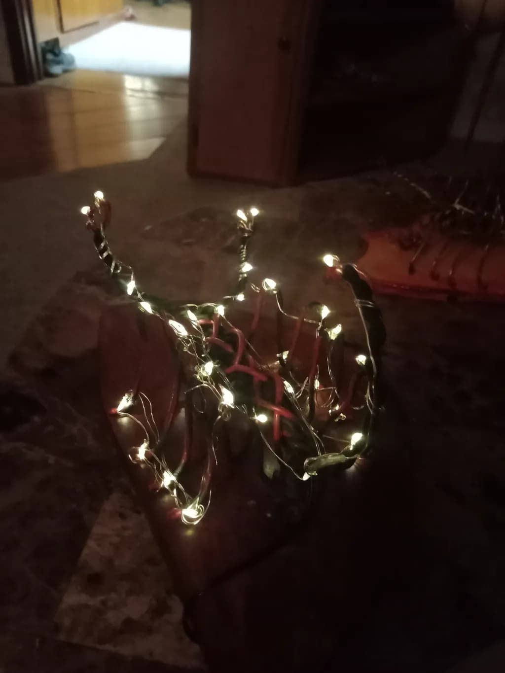 Lighted Sculpture