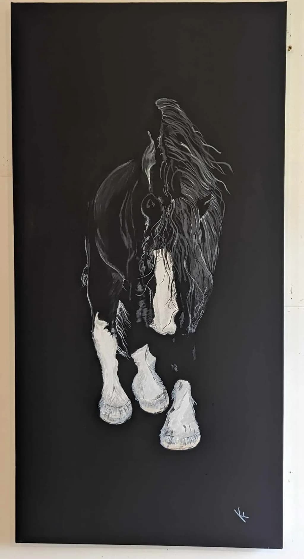 Black and White Horse