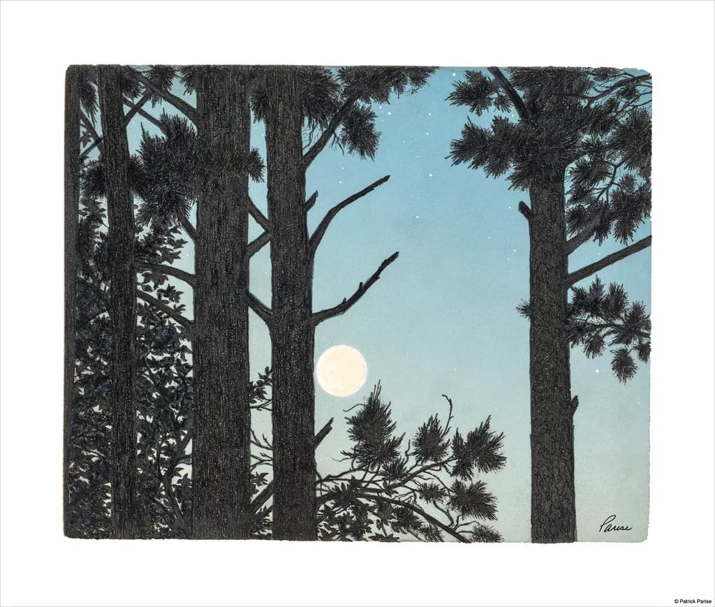 SC Pines Moonlight