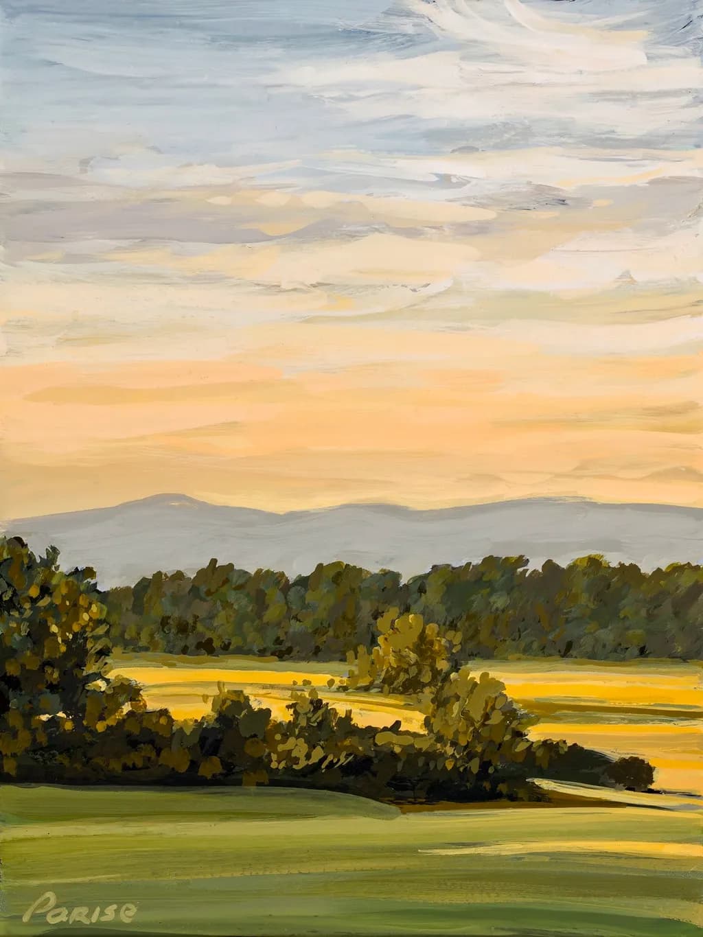 Rustic Vista