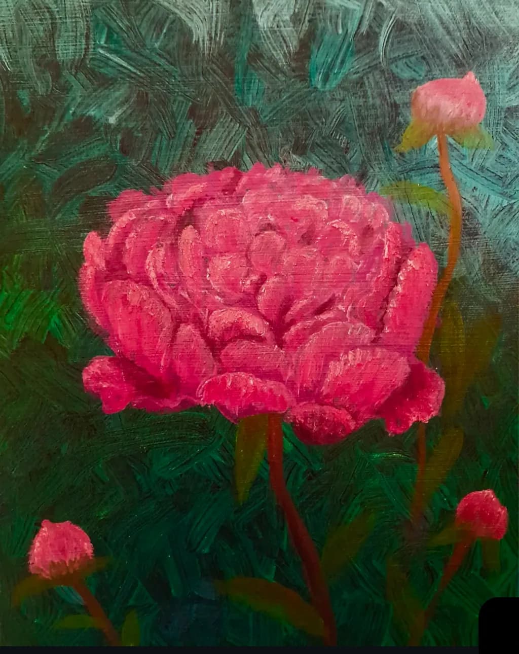 Peony Bloom