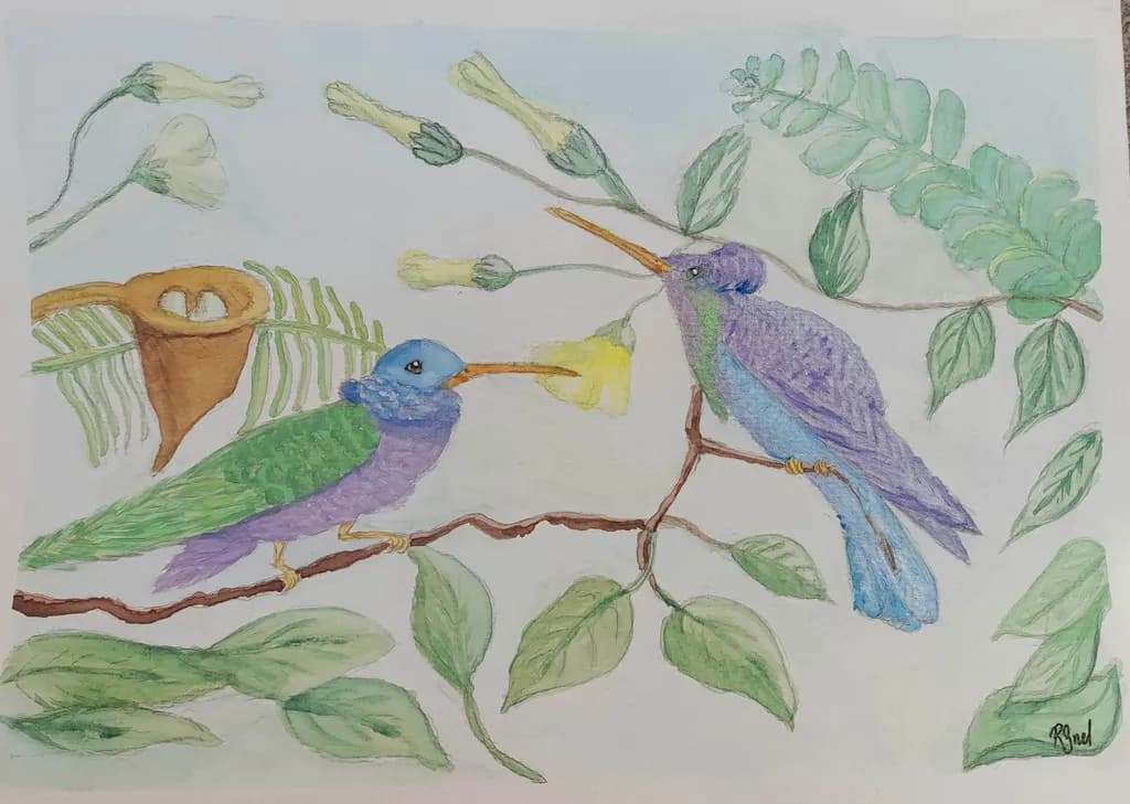 Hummingbirds on Branch