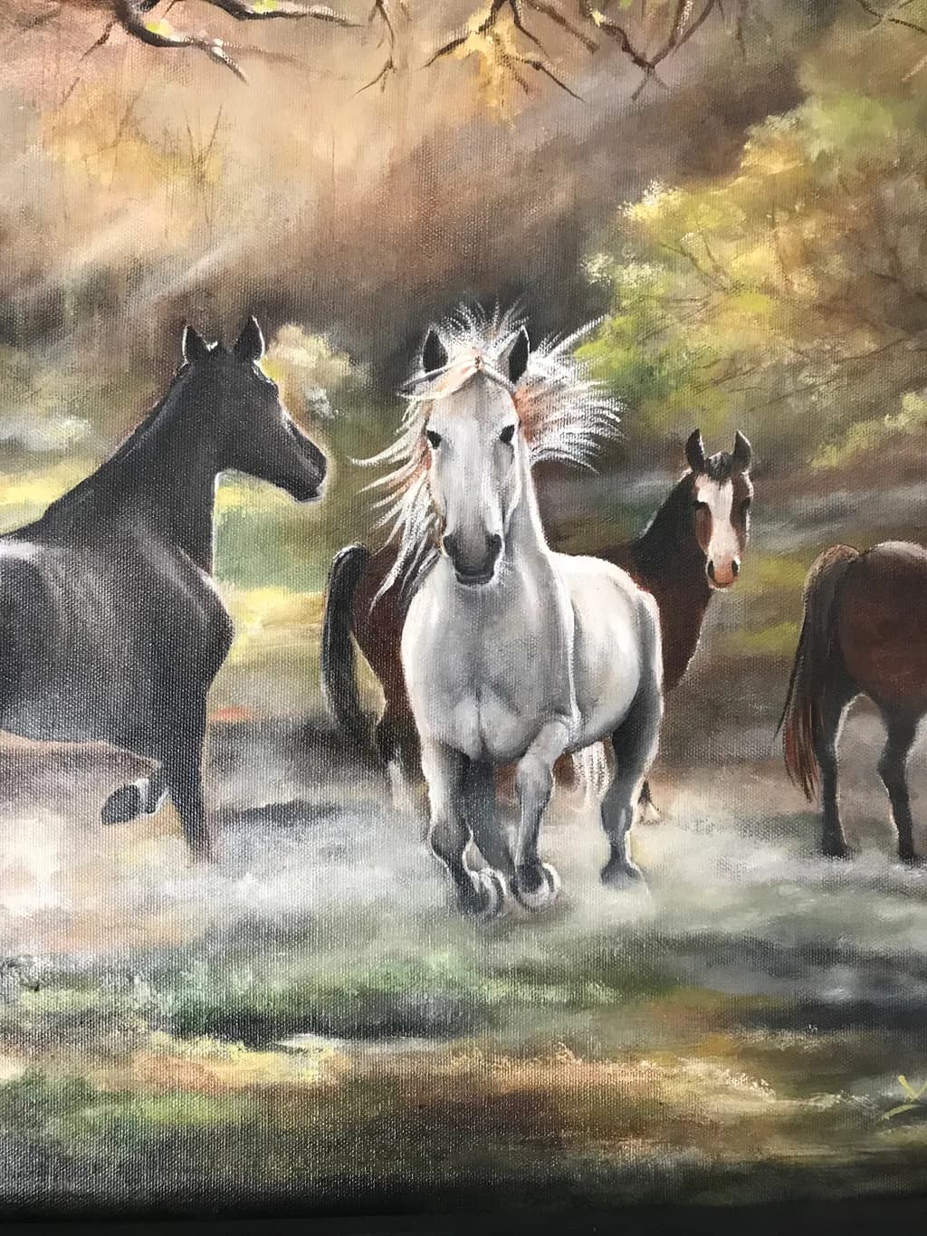 Misty Forest Horses