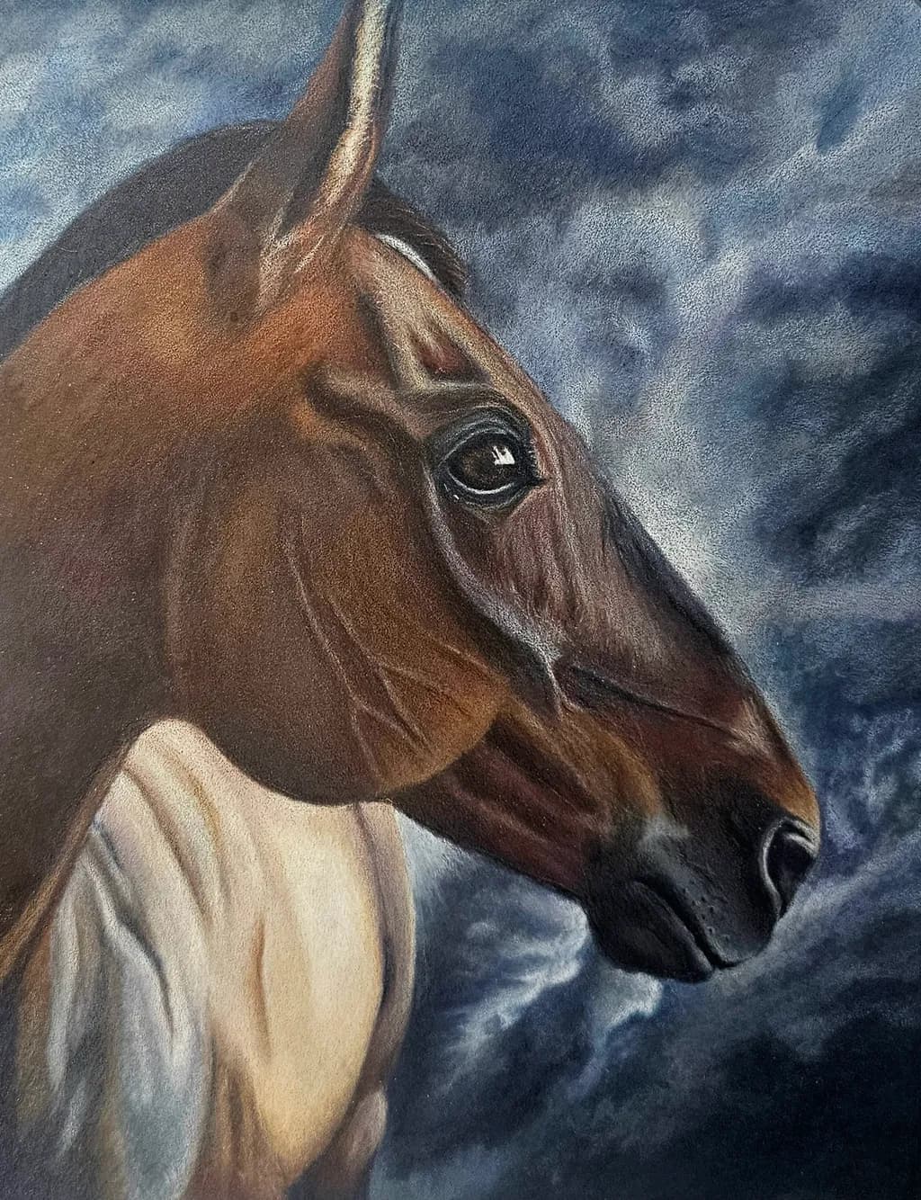 Horse Portrait