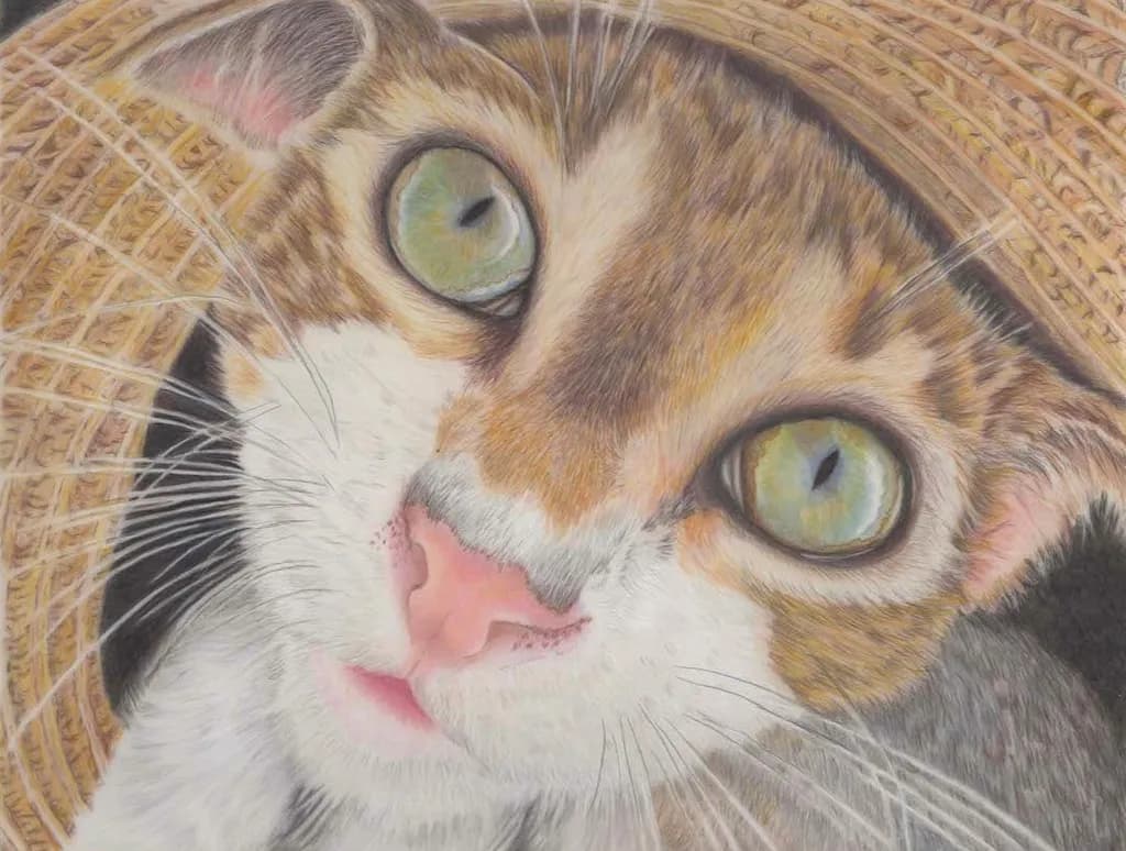 Cat Close-Up