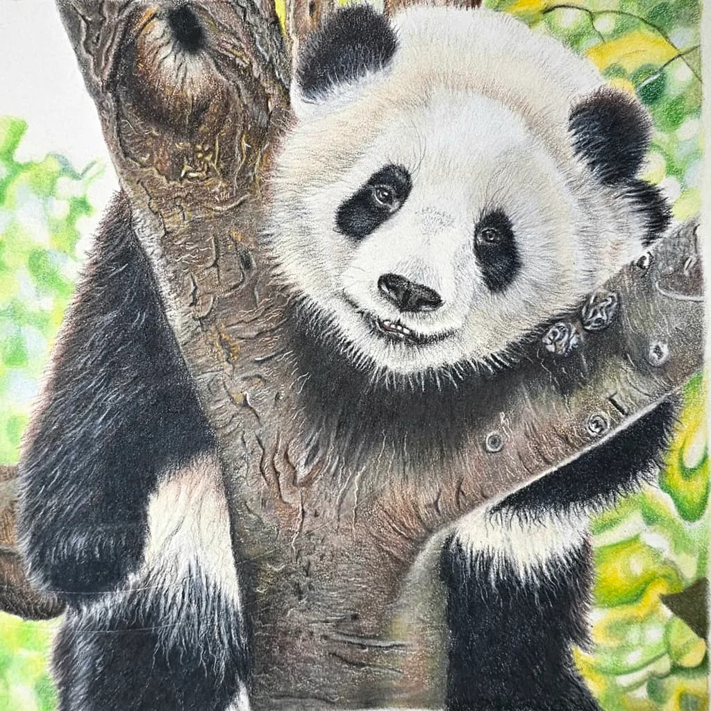 Panda on Tree