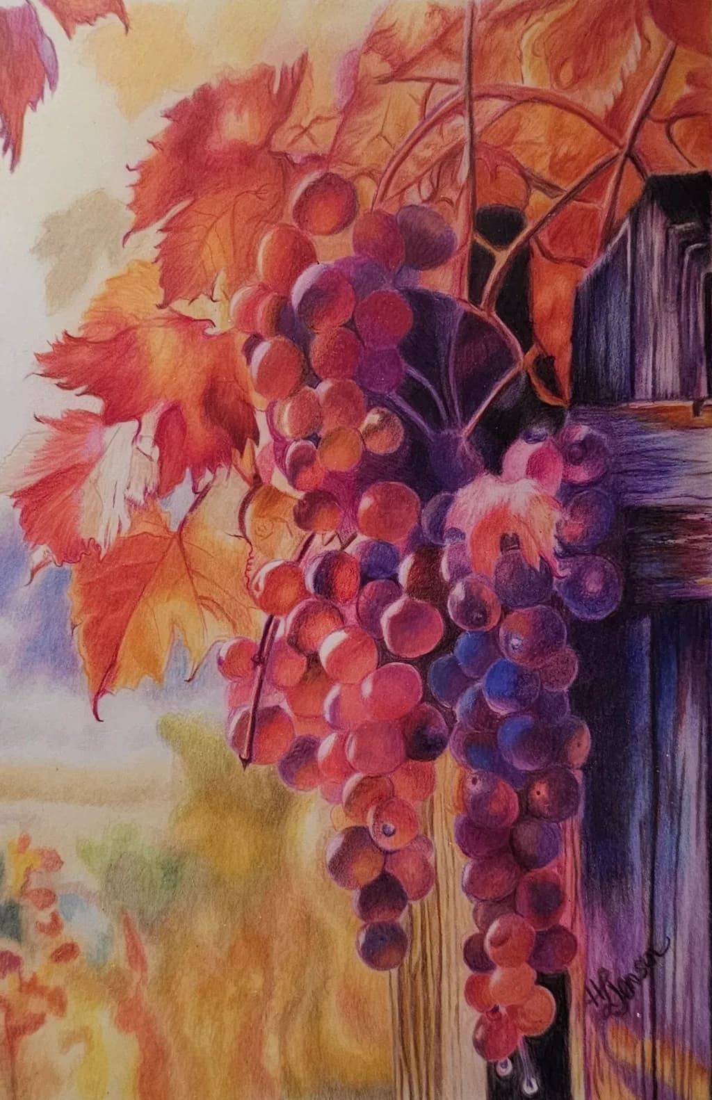 Grapes on Vine Wood