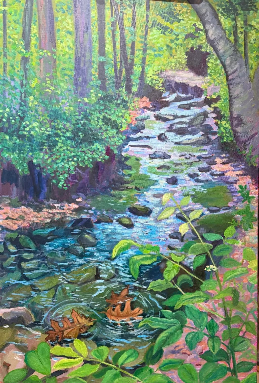 Forest Stream Reflections