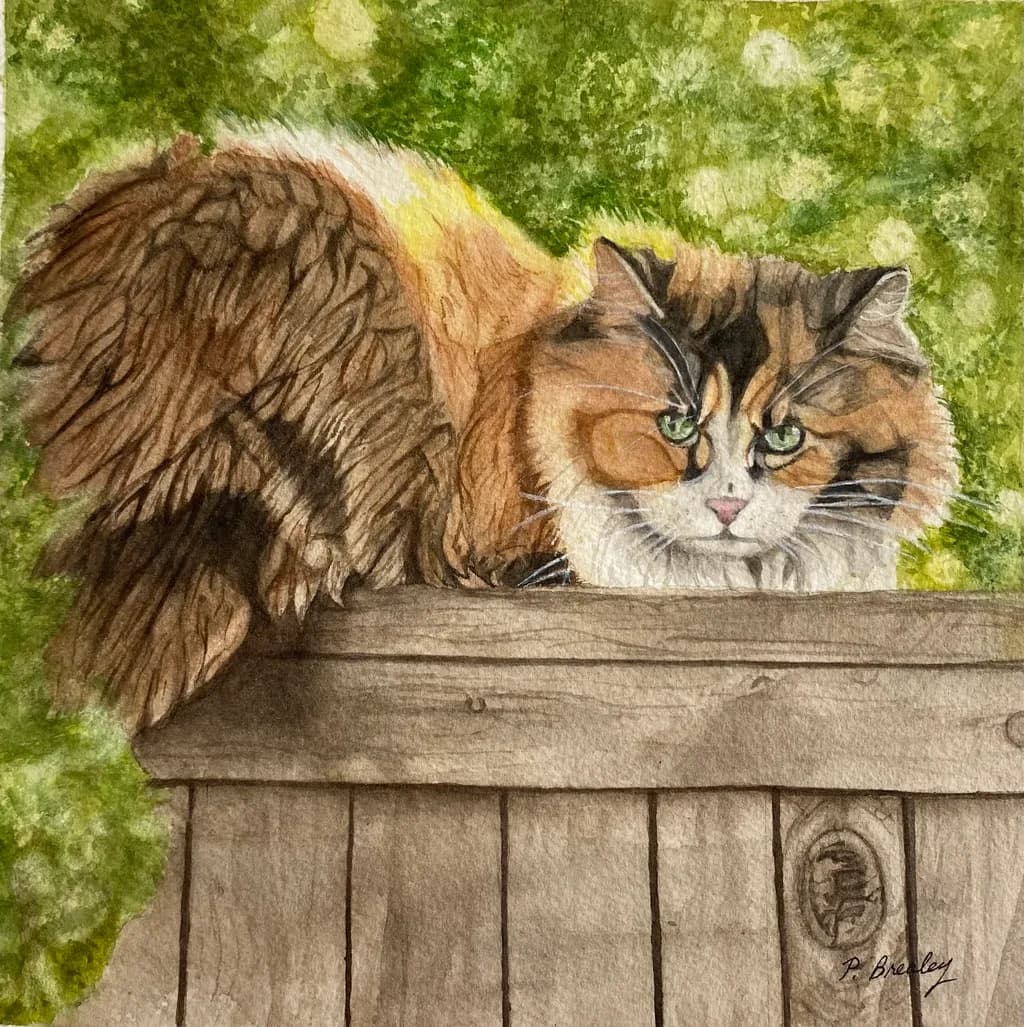 Calico Cat Perch