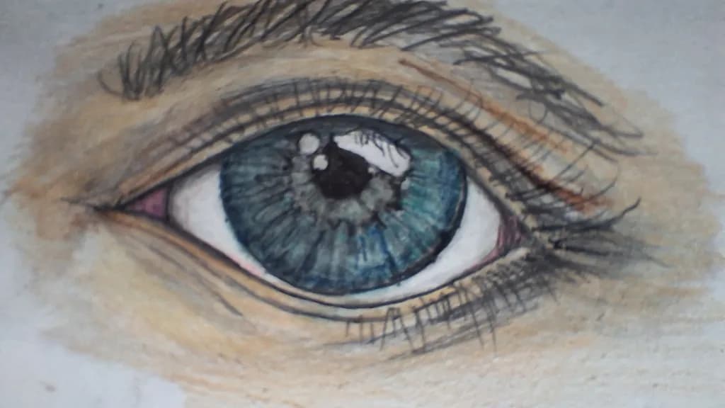 Inbound Eye Study