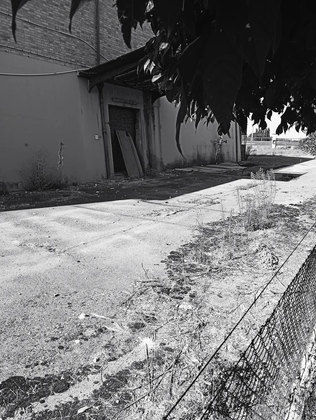 Abandoned Warehouse
