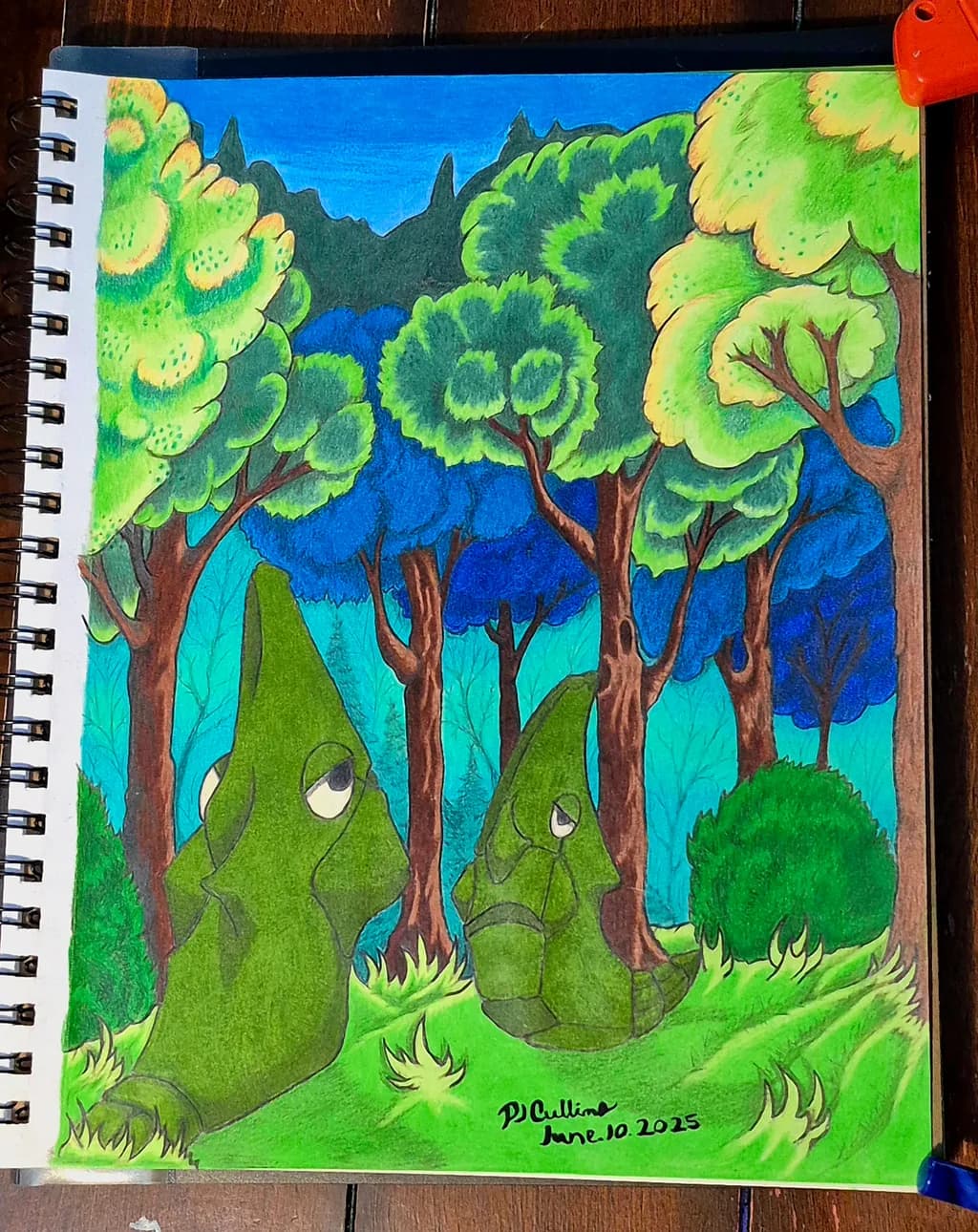 Forest Faces