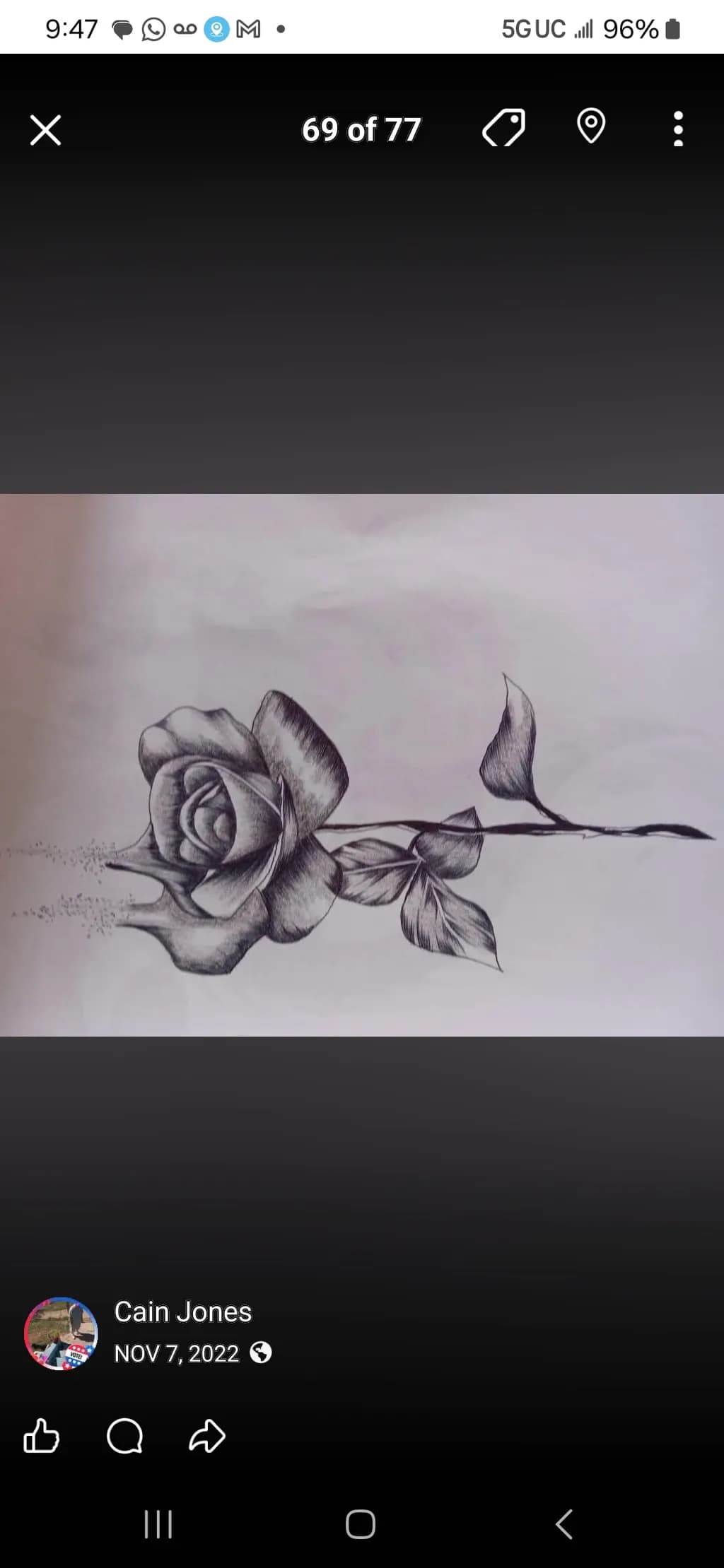 Delicate Rose Drawing