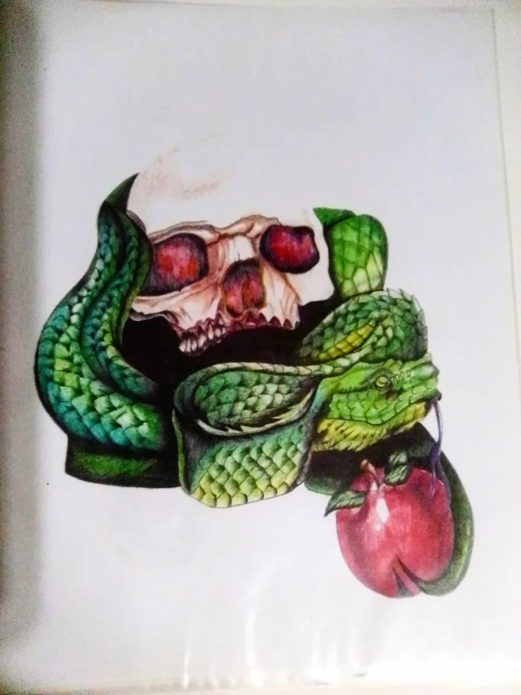 Serpent’s Apple Skull