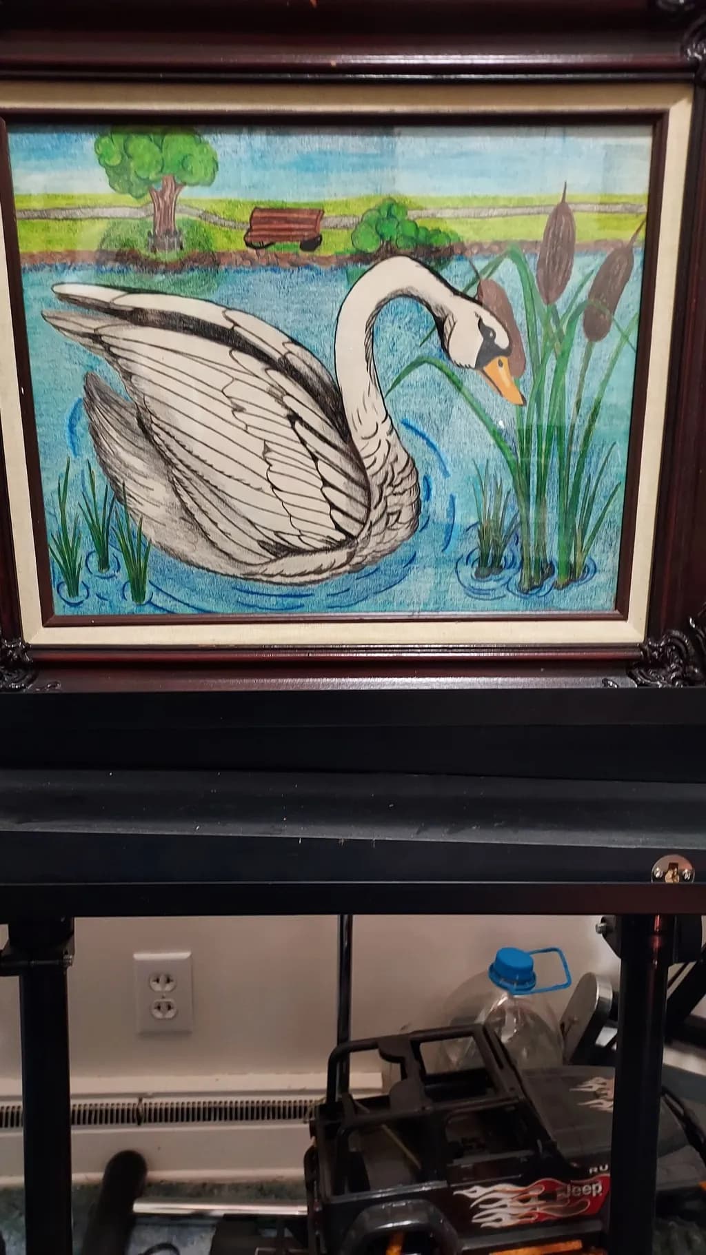 Swan in Pond