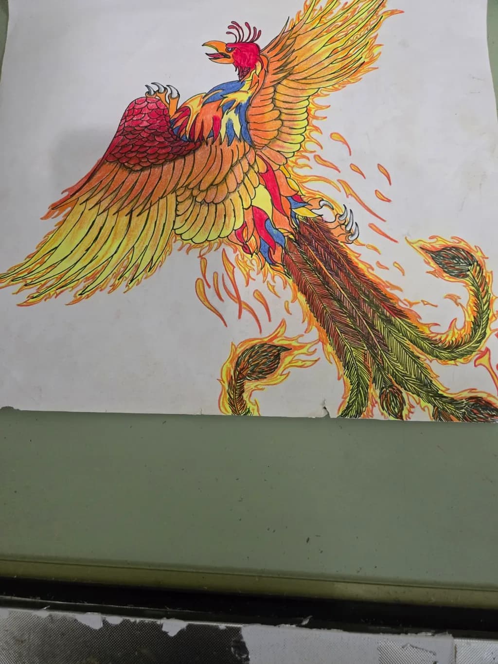 Fiery Phoenix Flight