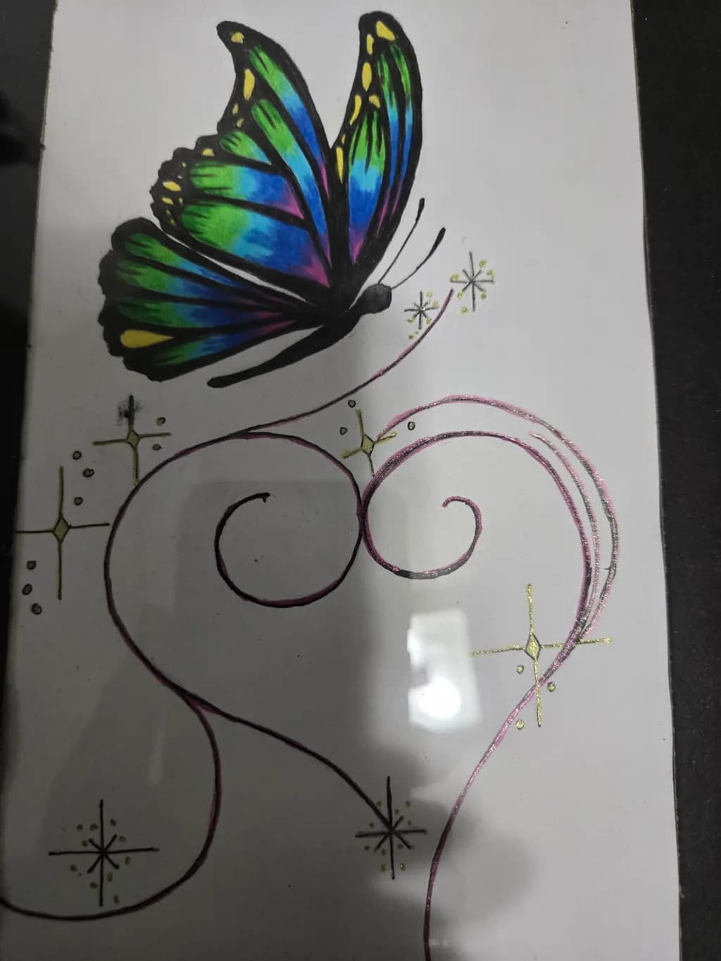 Colorful Butterfly Design