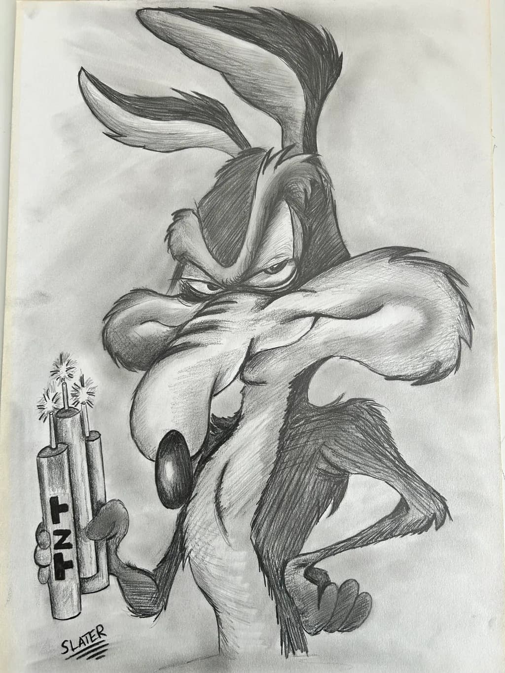 Coyote TNT