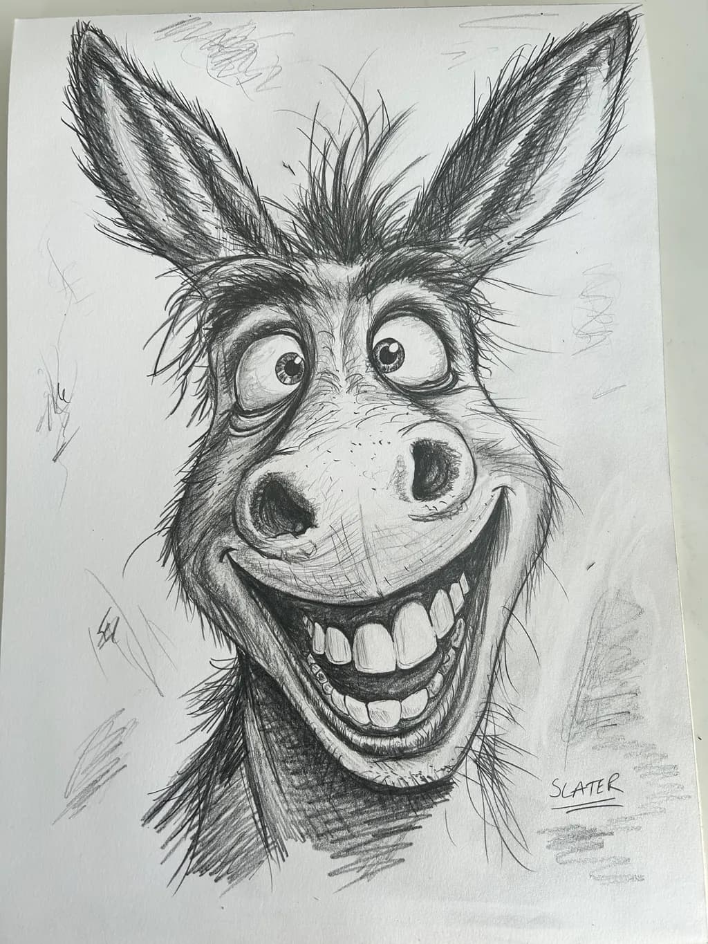 Cheerful Donkey