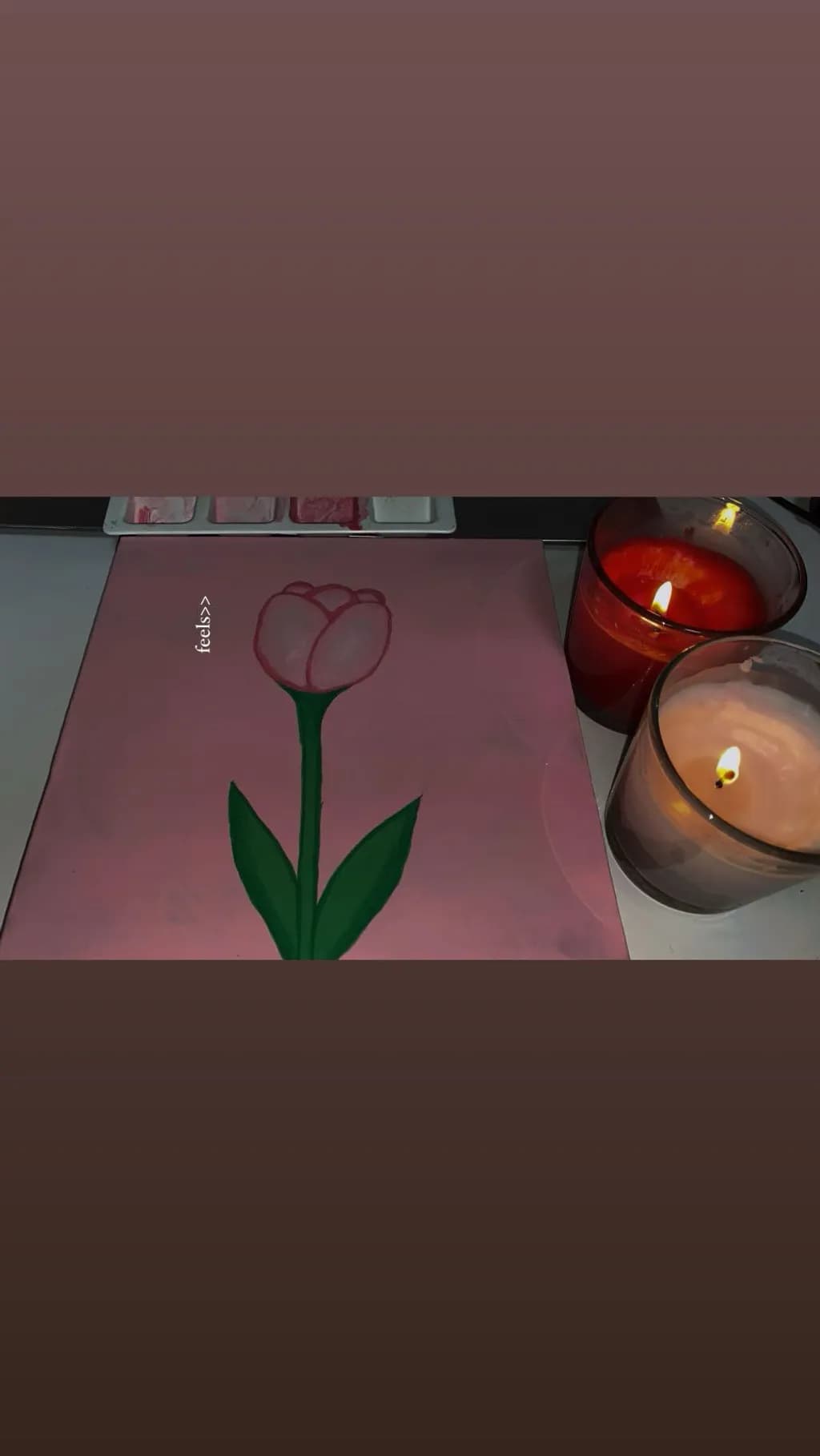 Pink Tulip Glow