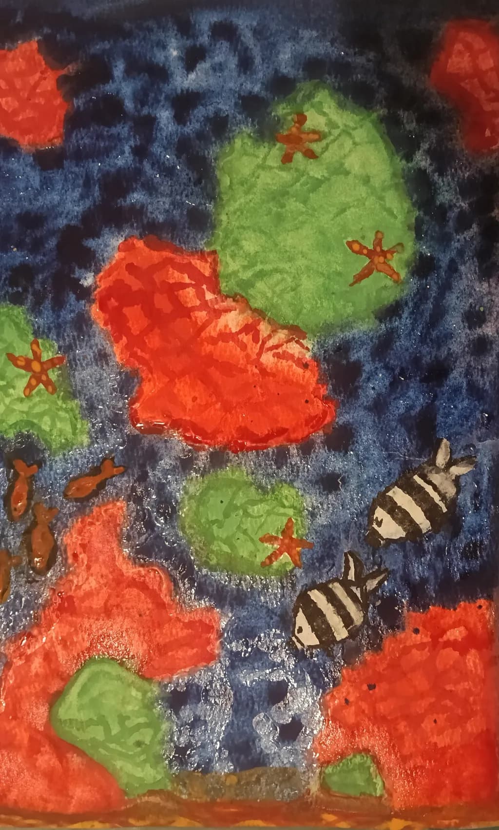 Coral Reef Scene