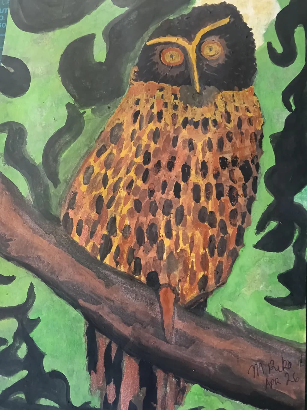 Owl on Branch