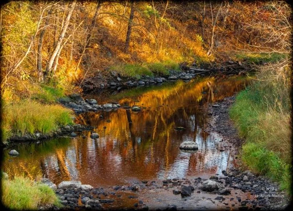 Autumn Riverbank