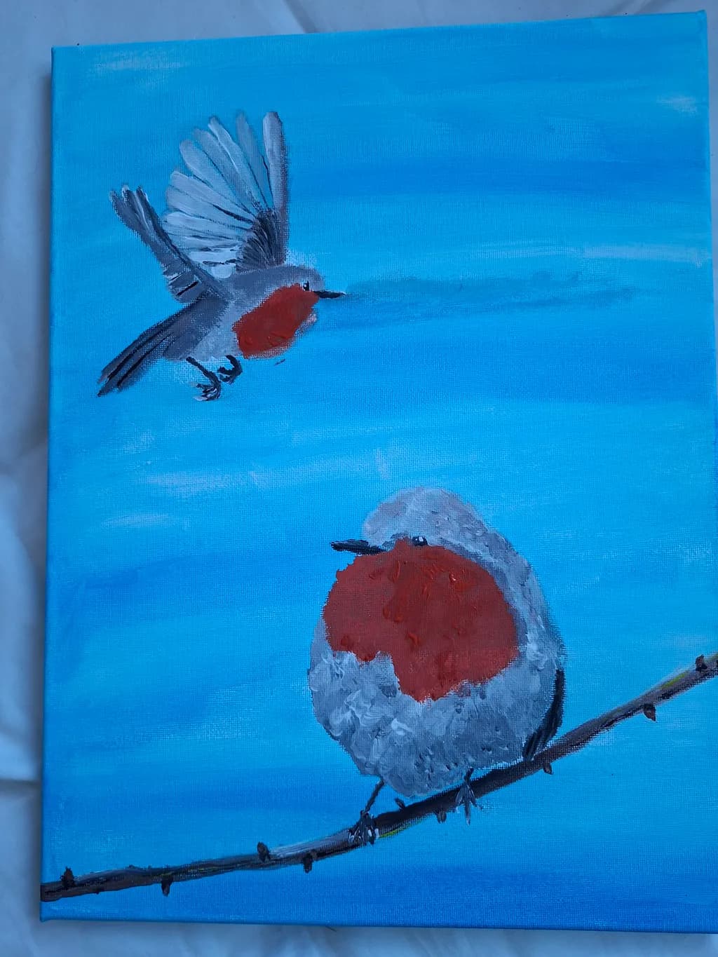 Robin Flight