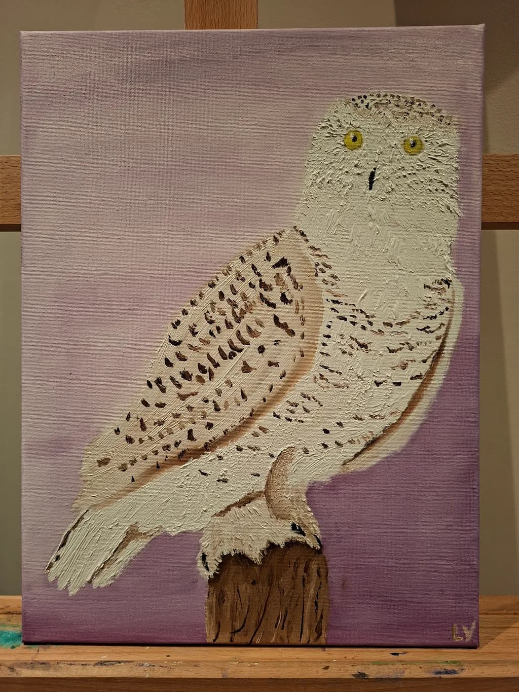 Snowy Owl Perch