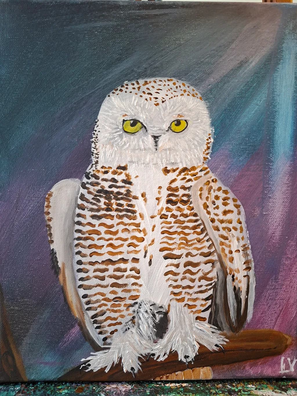 Snowy Owl Perch