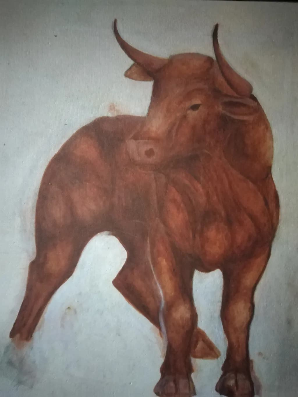Majestic Bull