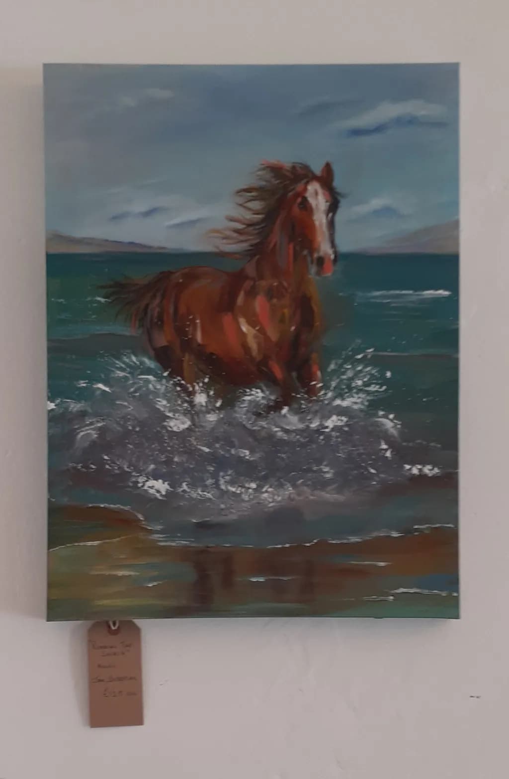 Horse in Ocean Splash