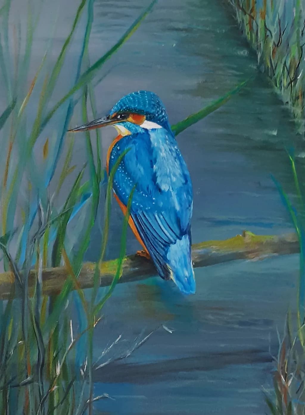 Kingfisher on Branch