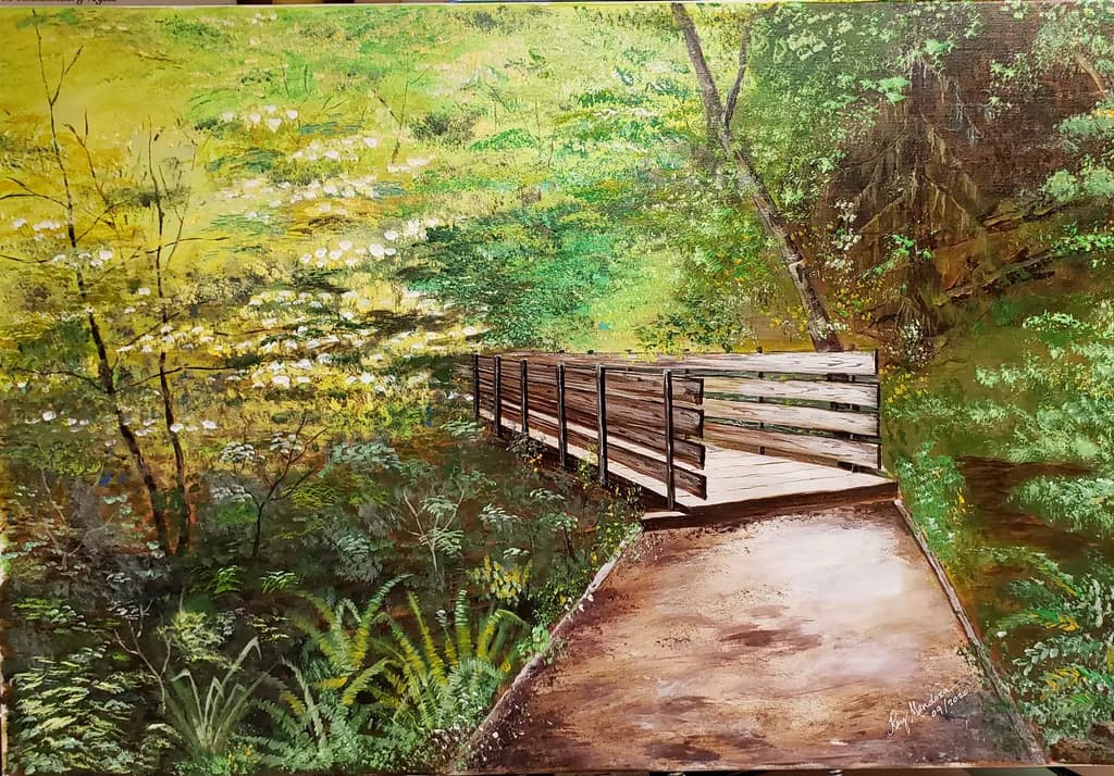 Wooden Bridge in Forest
