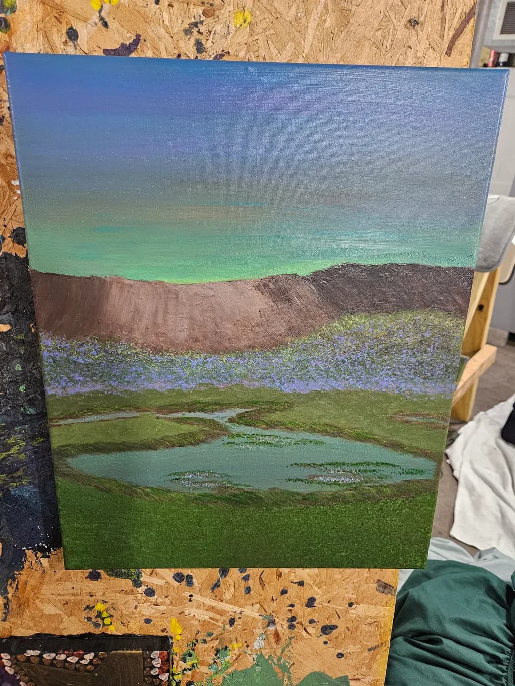 Mountain Marsh Landscape