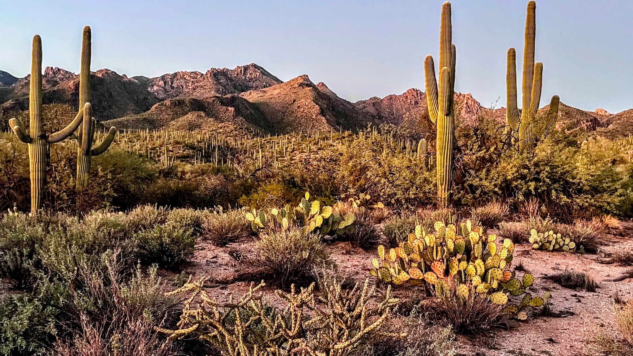 Sabino Canyon After Work