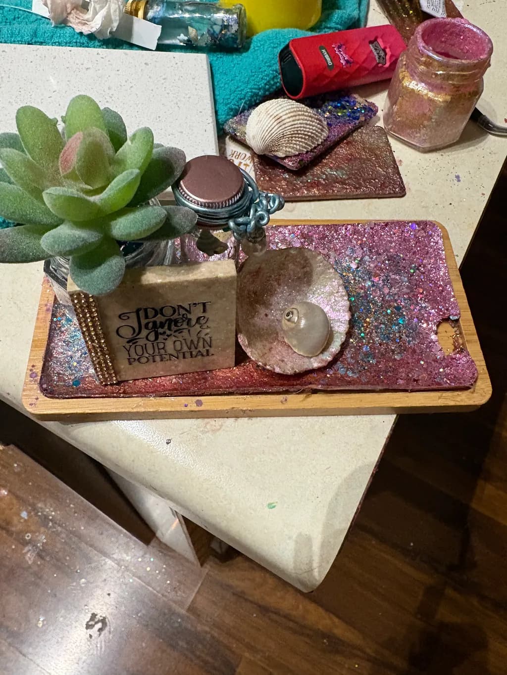 Succulent Shell Tray