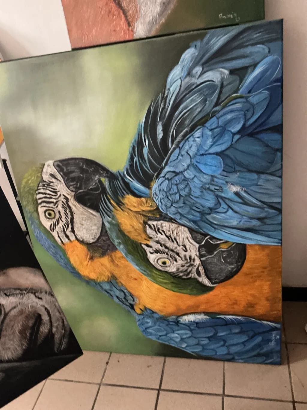 Colorful Parrot Duo