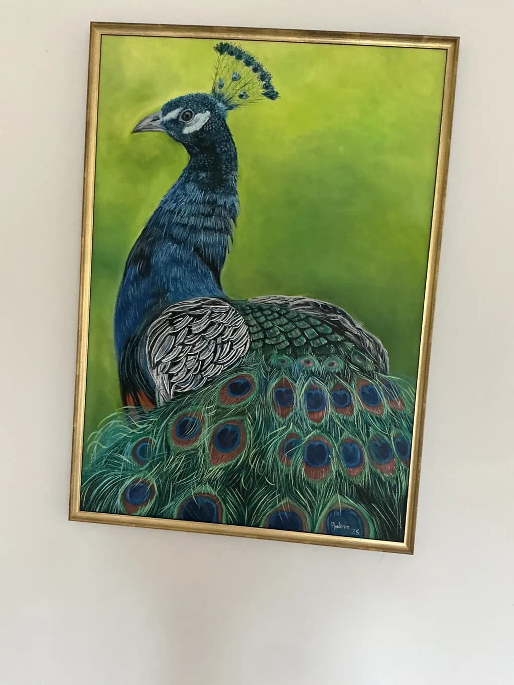 Peacock Portrait