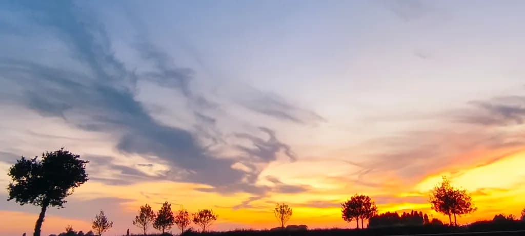 Sunset Silhouettes