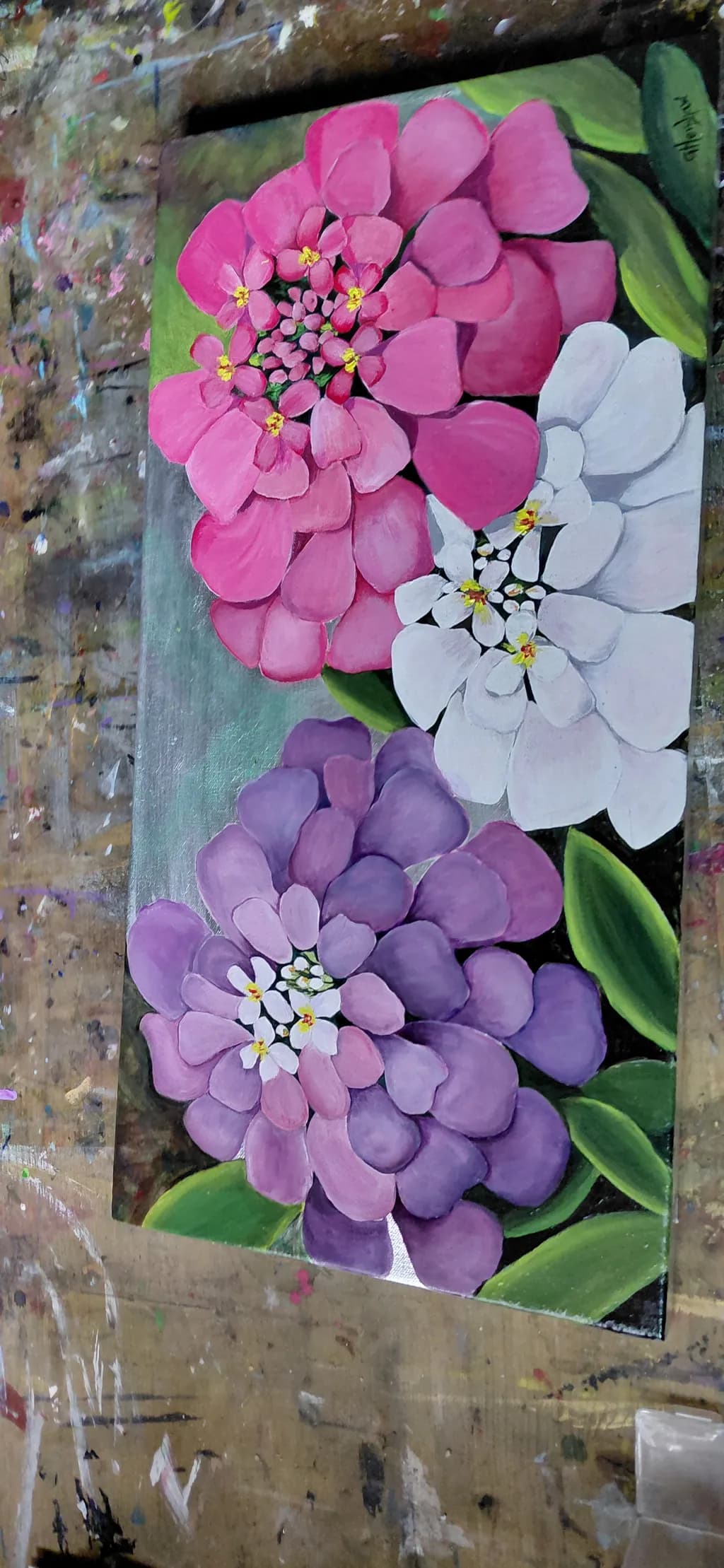 Pink, White & Purple Blooms